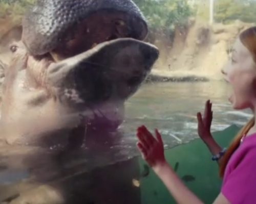 Visit SA Commercial_Sadie Saunders_full